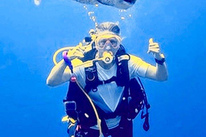 Scuba Diving No Experience Needed Videos Included