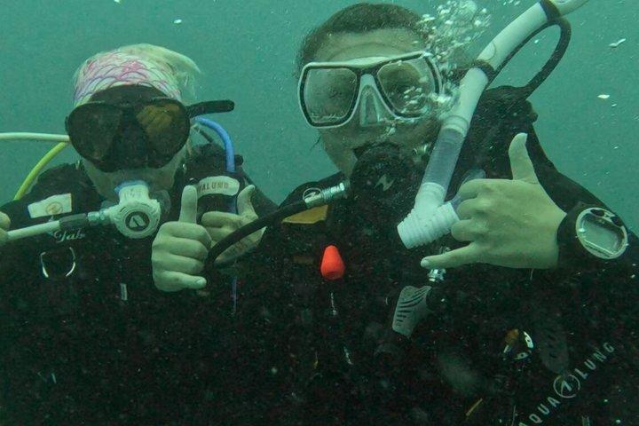 Scuba Diving No Experience Needed Videos Included