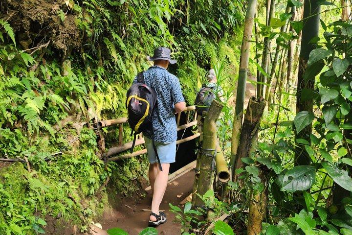 Oplev Ubud Highlights Privat tur