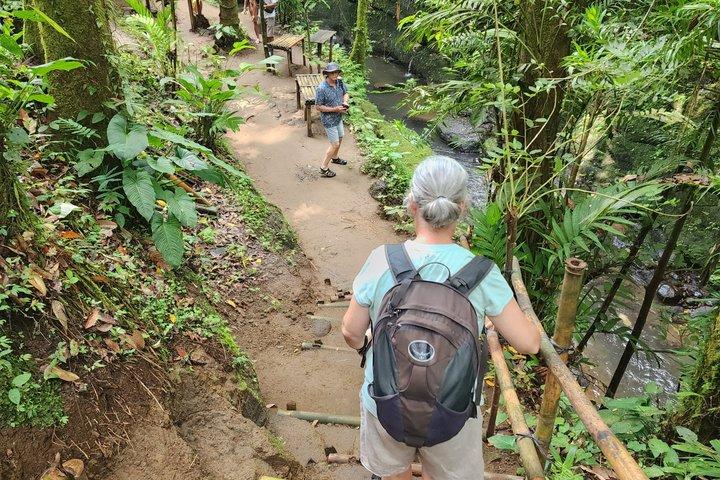 Oplev Ubud Highlights Privat tur