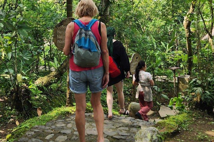Oplev Ubud Highlights Privat tur