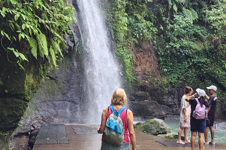 Oplev Ubud Highlights Privat tur