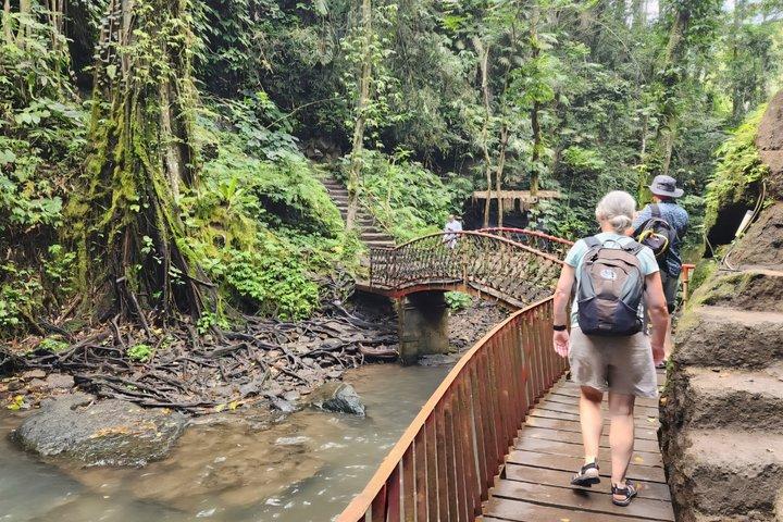Oplev Ubud Highlights Privat tur