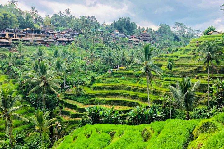 Oplev Ubud Highlights Privat tur