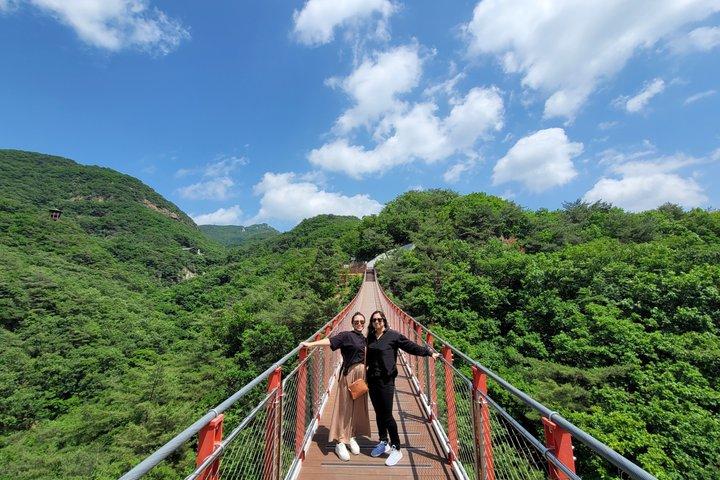 少人数限定DMZツアー（最大10名）ホテル送迎付き