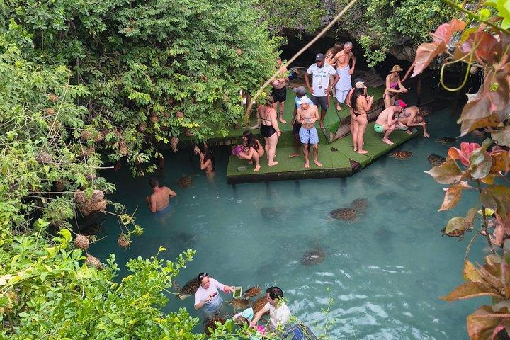Zanzibar Hidden salam Cave Turtle Swim;Jozani Forest & Spice Farm