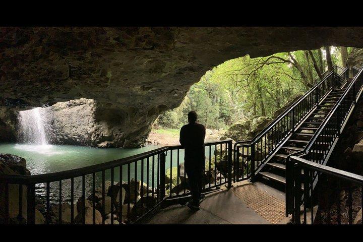 Rainforests and Waterfalls Tour from Gold Coast