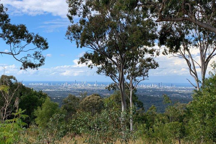 Rainforests and Waterfalls Tour from Gold Coast