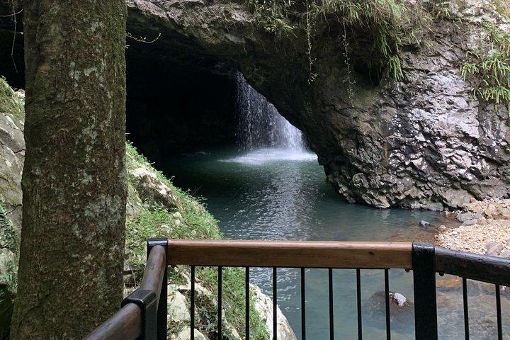 Rainforests and Waterfalls Tour from Gold Coast