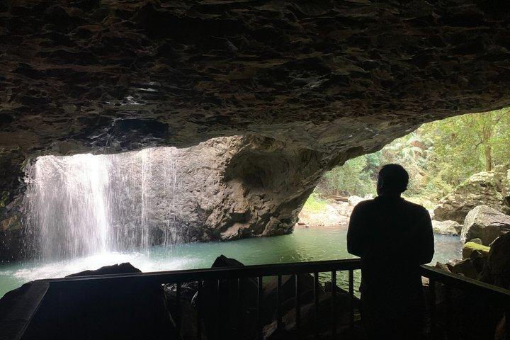 Rainforests and Waterfalls Tour from Gold Coast