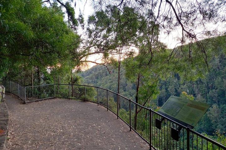 Rainforests and Waterfalls Tour from Gold Coast