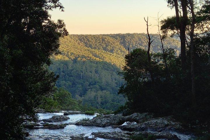 Rainforests and Waterfalls Tour from Gold Coast