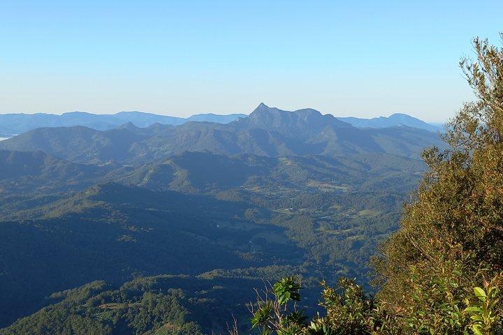 Rainforests and Waterfalls Tour from Gold Coast