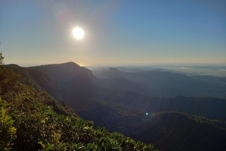 Rainforests and Waterfalls Tour from Gold Coast