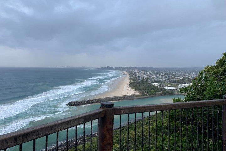 Rainforests and Waterfalls Tour from Gold Coast