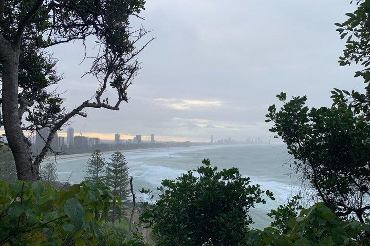Rainforests and Waterfalls Tour from Gold Coast