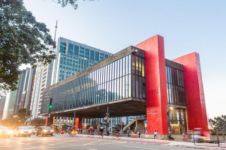Art Museum and Pinacoteca São Paulo Private Guided Tour By Car