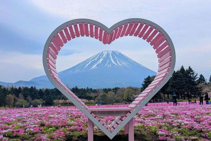 Mt Fuji and Hakone Gem Private Tour Licensed Guide with Driver