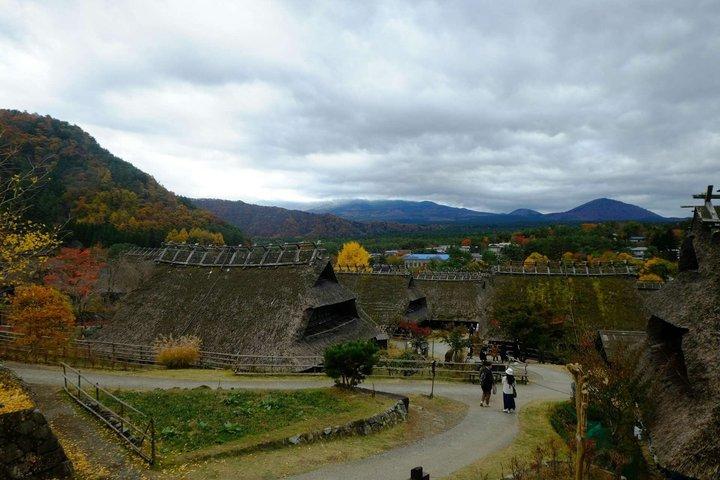 Mt Fuji and Hakone Gem Private Tour Licensed Guide with Driver