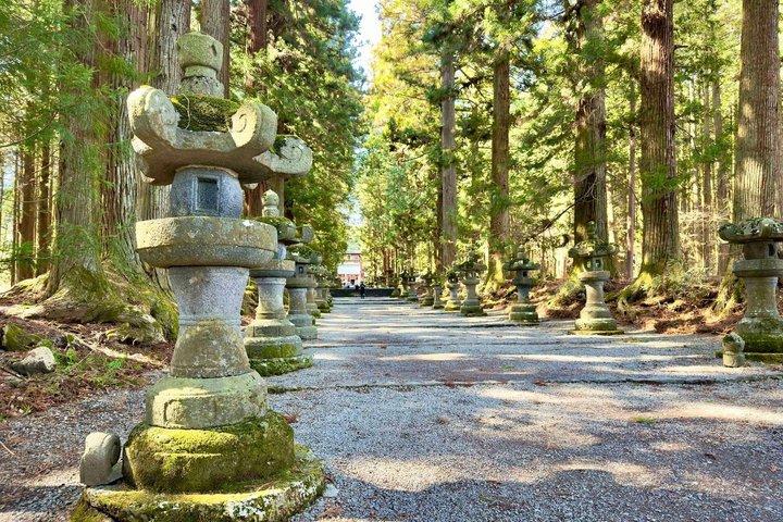 Mt Fuji and Hakone Gem Private Tour Licensed Guide with Driver
