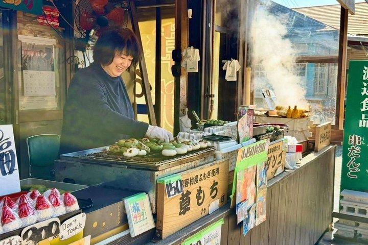 Mt Fuji and Hakone Gem Private Tour Licensed Guide with Driver