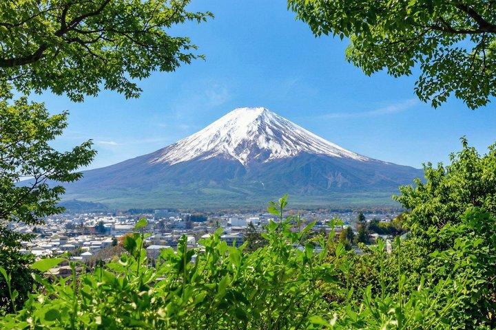 富士山・河口湖・大石公園満喫一日ツアー