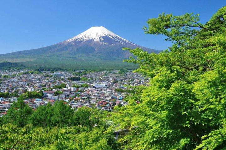 富士山・河口湖・大石公園満喫一日ツアー