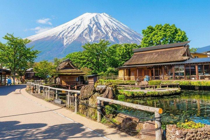 富士山・河口湖・大石公園満喫一日ツアー
