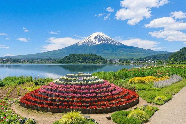 富士山・河口湖・大石公園満喫一日ツアー