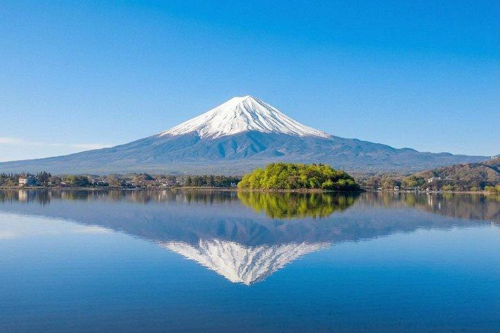 富士山・河口湖・大石公園満喫一日ツアー