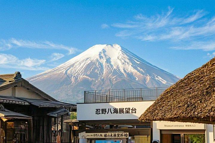 富士山・河口湖・大石公園満喫一日ツアー