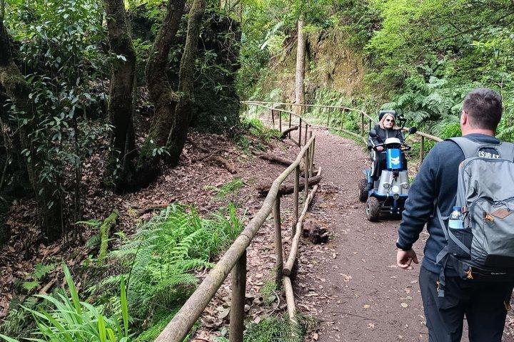 Wheelchair Tour Levada Off Road Scooter