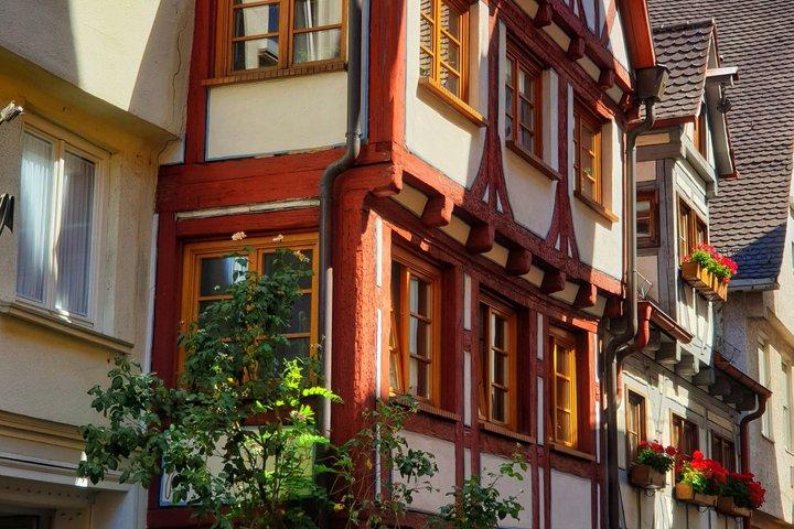 Mainz Walking Tour Cathedral Gutenberg and Rhine Promenade