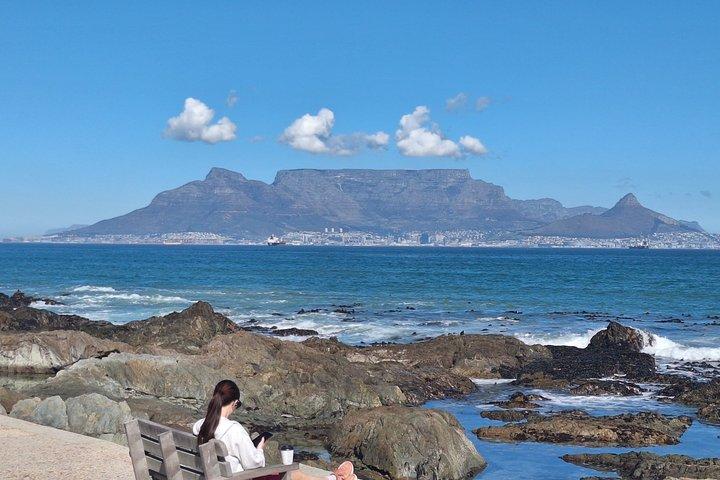 Cape Town Best In a Day Mountain City Cape Point and Penguins
