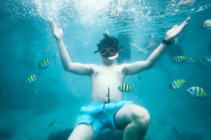 ピピマヤハイ島：スピードボートで巡る究極の島巡り