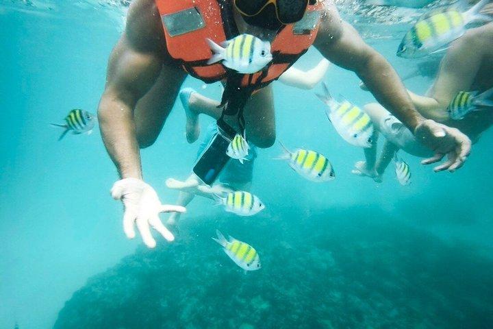 ピピマヤハイ島：スピードボートで巡る究極の島巡り