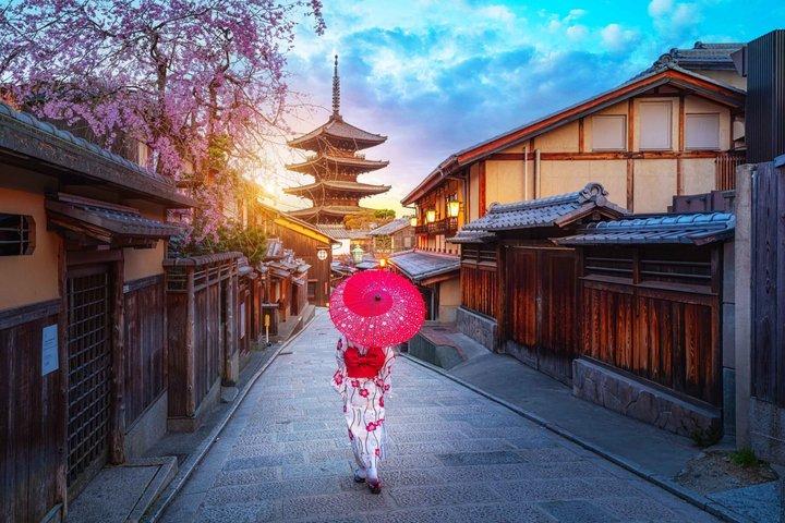 Kyoto Privat Tilpasselig Dagstur med Engelsk Vejleder
