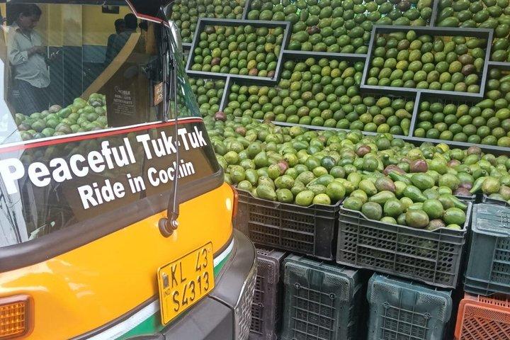 Fort Kochi Private Sightseeing Tuk Tuk Tour
