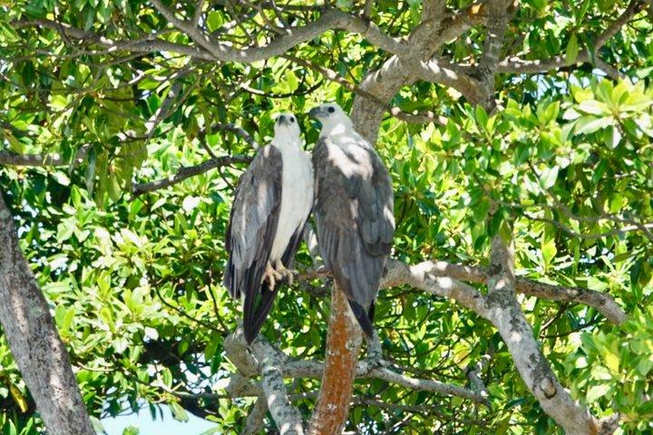 ネゴンボからムトゥラジャウェラ湿地エコバードウォッチングボートツアー