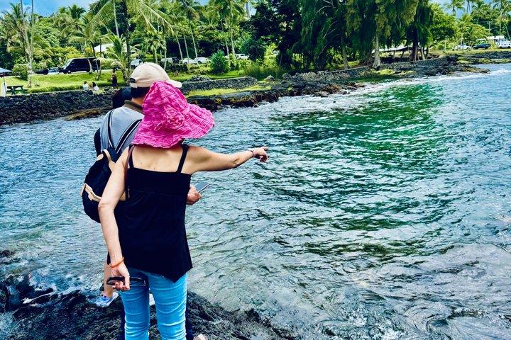 Hilo Shore Excursion: Volcanic Experience, Lava Tubes, Waterfalls
