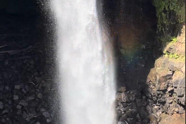 Hilo Shore Excursion: Volcanic Experience, Lava Tubes, Waterfalls