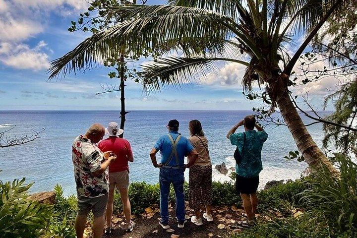 Hilo Shore Excursion: Volcanic Experience, Lava Tubes, Waterfalls
