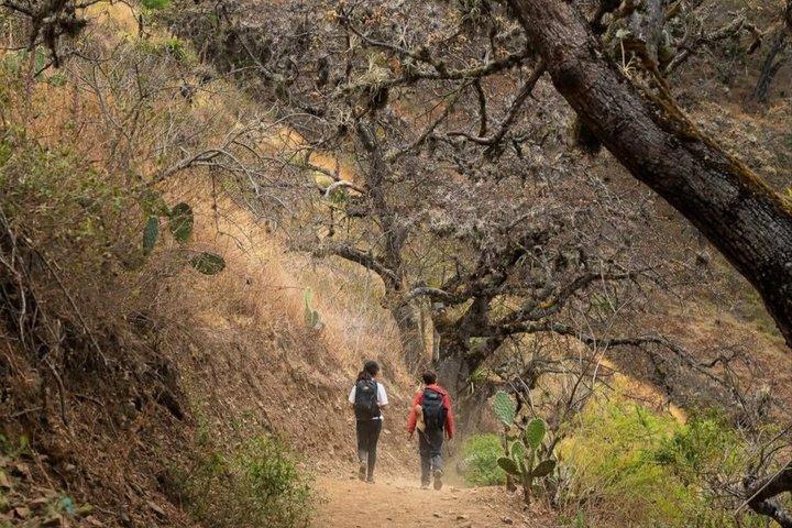 4 - Day Choquequirao Trek from Cusco – Services Included