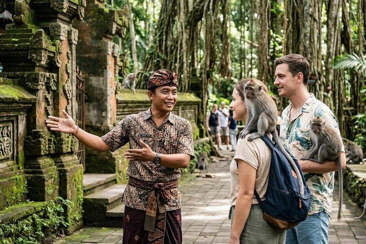 Privato Migliore di Ubud: Monkey Forest, Terrazze di Riso e Cascata