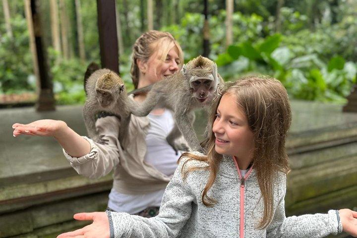 Privato Migliore di Ubud: Monkey Forest, Terrazze di Riso e Cascata