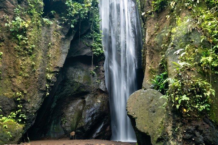 Privato Migliore di Ubud: Monkey Forest, Terrazze di Riso e Cascata