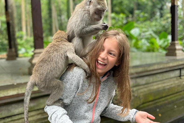 Privato Migliore di Ubud: Monkey Forest, Terrazze di Riso e Cascata