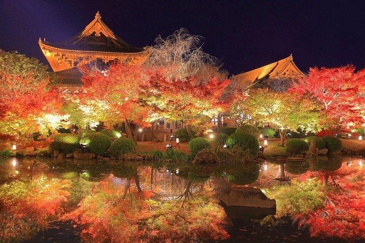 紅葉ライトアップ付き京都プライベートナイトツアー（ホテル送迎）