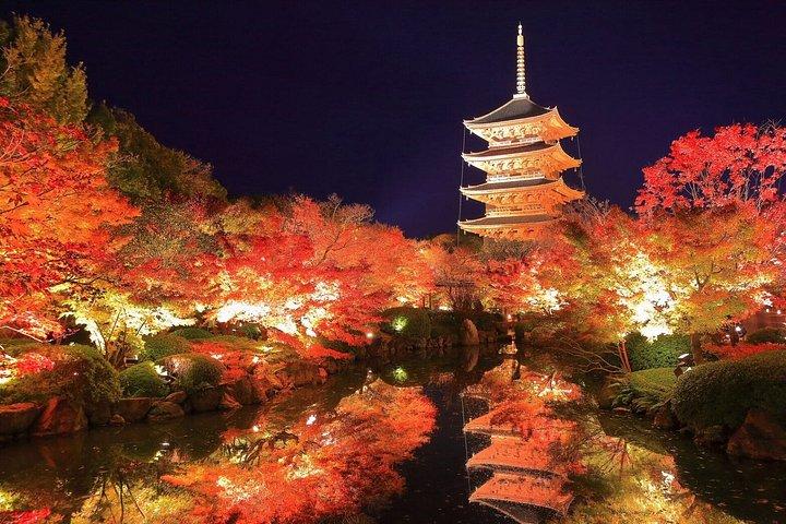 紅葉ライトアップ付き京都プライベートナイトツアー（ホテル送迎）