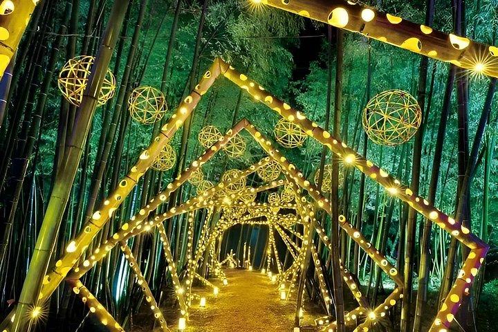 紅葉ライトアップ付き京都プライベートナイトツアー（ホテル送迎）